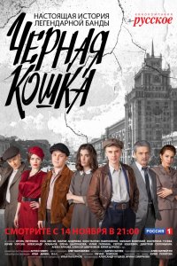 Черная кошка 1-16 серия смотреть онлайн (сериал 2016)