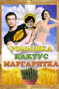 Ромашка, кактус, маргаритка