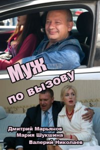 Муж по вызову