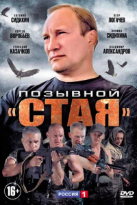 Позывной «Стая» 1, 2 сезон