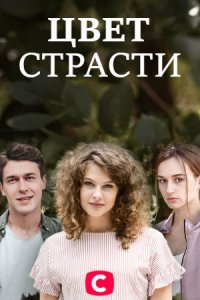 Цвет страсти 1-24 серия смотреть онлайн (сериал 2020)