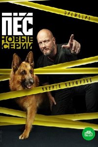 Пёс 6 сезон 1-20 серия смотреть онлайн (сериал 2020)