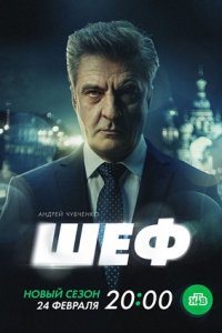 Шеф 7 сезон. Призраки прошлого 1-20 серия смотреть онлайн (сериал 2024-2025)