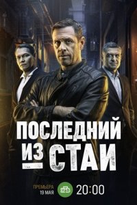 Последний из стаи 1-12 серия смотреть онлайн (сериал 2024 - 2025)
