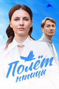 Полет птицы